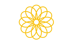 شرکت‌های رشد