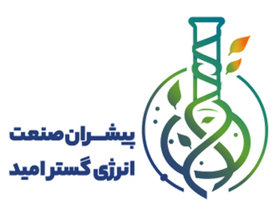 شرکت‌های رشد